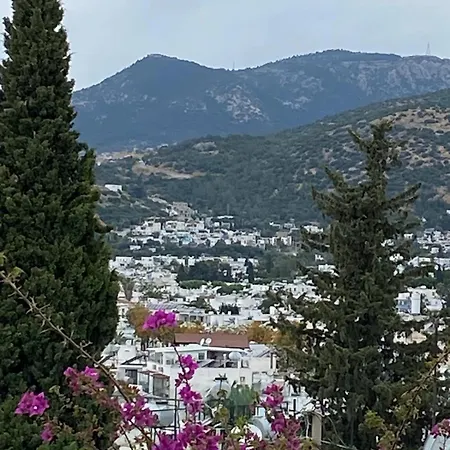 Izan Bakis Hotel apartamentowy 3*