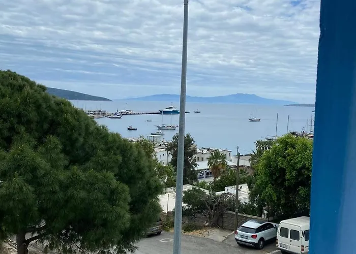 Izan Bakis 3*